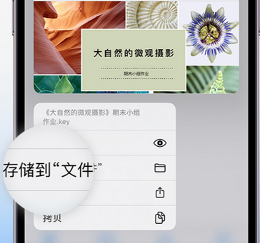 凤凰apple维修中心分享iPhone文件应用中存储和找到下载文件