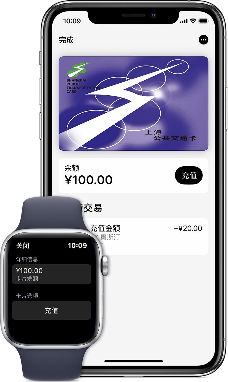 凤凰苹果手机维修分享:用 Apple Pay 刷交通卡有哪些优势？如何设置和使用？ 