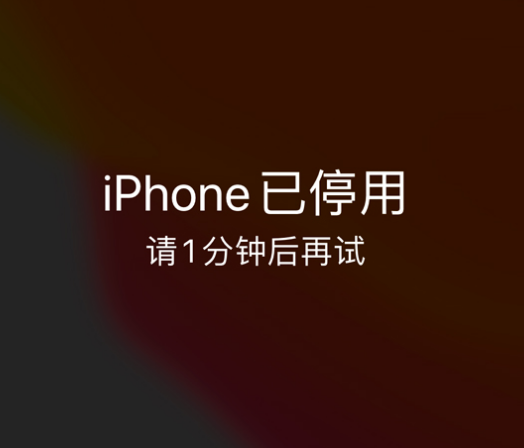 凤凰苹果手机维修分享:iPhone 显示“不可用”或“已停用”怎么办？还能保留数据吗？ 