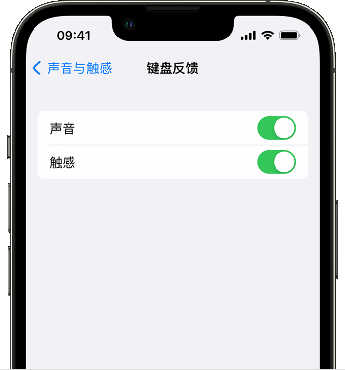 凤凰苹果14维修店分享如何在 iPhone 14 机型中使用触感键盘 