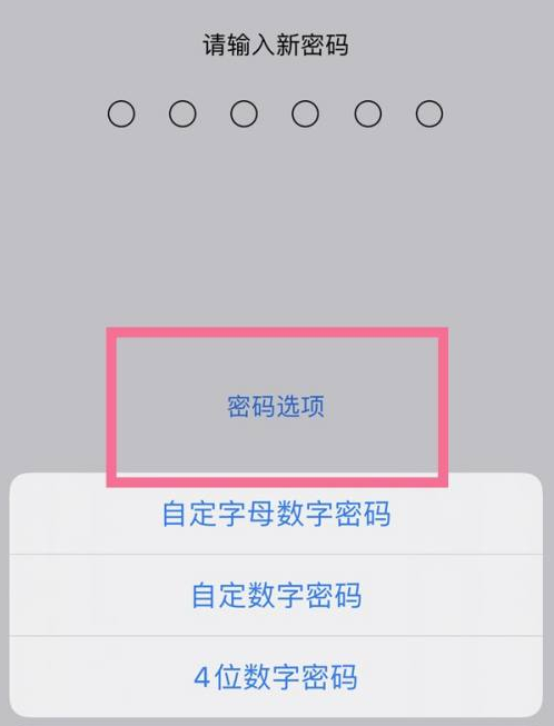 凤凰苹果14维修分享iPhone 14plus设置密码的方法 