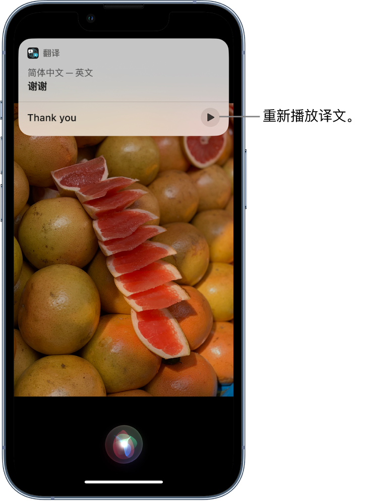 凤凰苹果14维修分享 iPhone 14 机型中使用 Siri：了解 Siri 能帮你做什么 