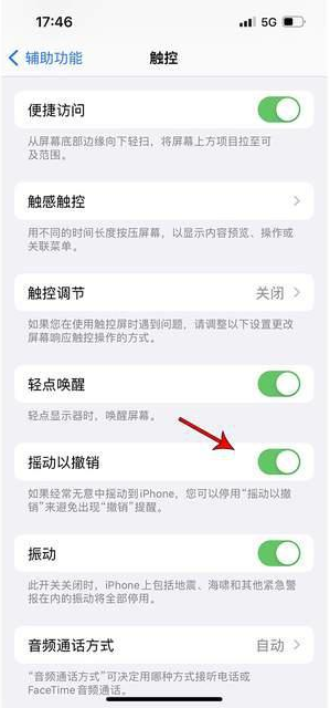 凤凰苹果手机维修分享iPhone手机如何设置摇一摇删除文字 