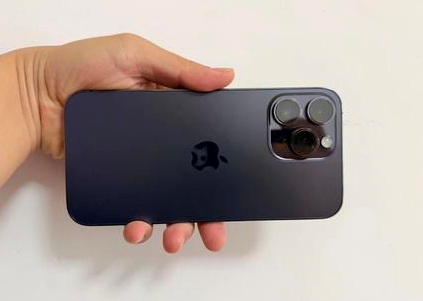 凤凰苹果维修点分享iPhone 14 Pro Max黑屏少见故障盘点 
